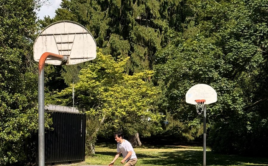 Basketball court